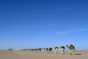 Niger -  Mysteries of the Sahara  15 days